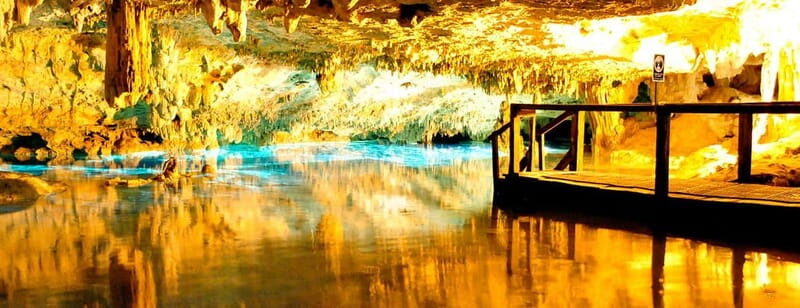 ATV XPRESS (DOUBLE) - ATV XPRESS (DOUBLE): A Thrilling Jungle Adventure in Quintana Roo