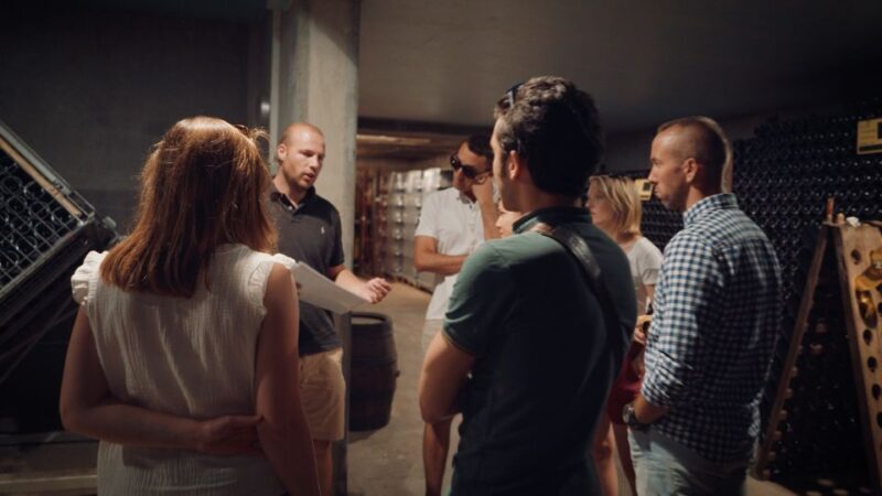 Au départ de REIMS : Ebike tour with a local guide ! - Practical details: logistics, timing, and value