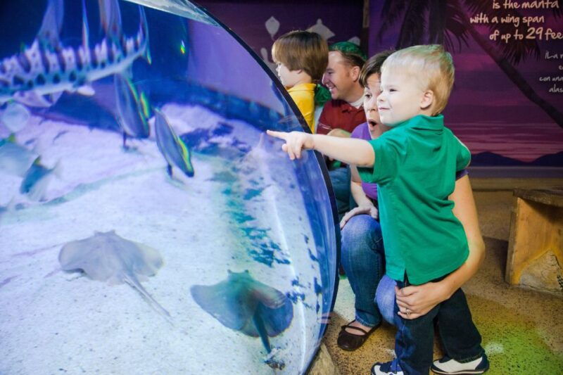 auburn-hills-legoland-and-sea-life-aquarium-combo-ticket