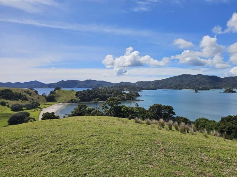 Auckland: 2-Day Bay of Islands Small Group Tour with Cruise - What Sets This Tour Apart?