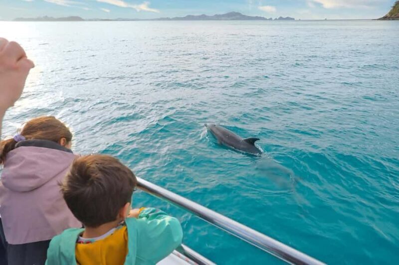 Auckland: 2-Day Bay of Islands Small Group Tour with Cruise - Practical Tips for Travelers