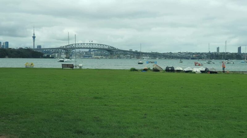 Auckland: Auckland City Tour 4 hours private - Introduction