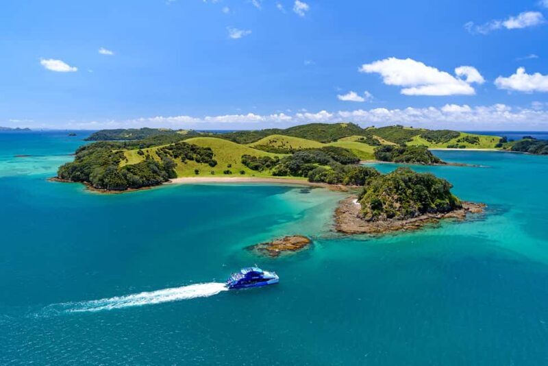 Auckland: Bay of Islands Day Tour with Dolphin Cruise - Practical Details and Value