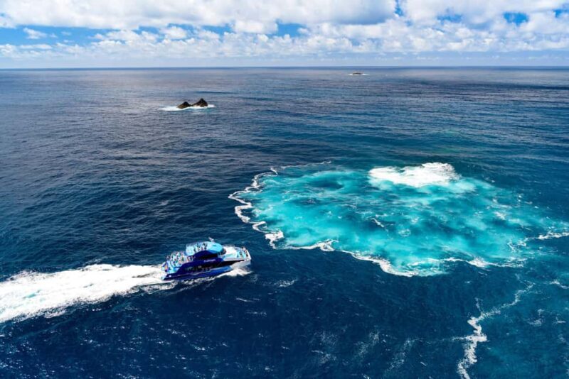 Auckland: Bay of Islands Day Tour with Dolphin Cruise - Authentic Insights From Reviews