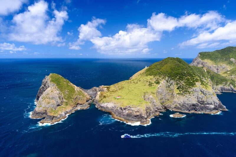 Auckland: Bay of Islands Day Tour with Dolphin Cruise - Final Thoughts