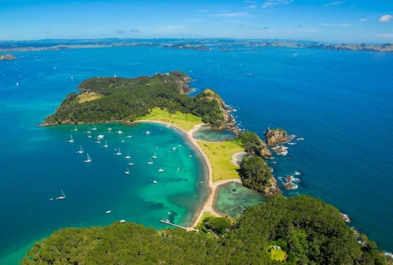 Auckland: Bay of Islands Tour & Cruise 2Day Small Group Tour - The Real Value: Insights from Reviews