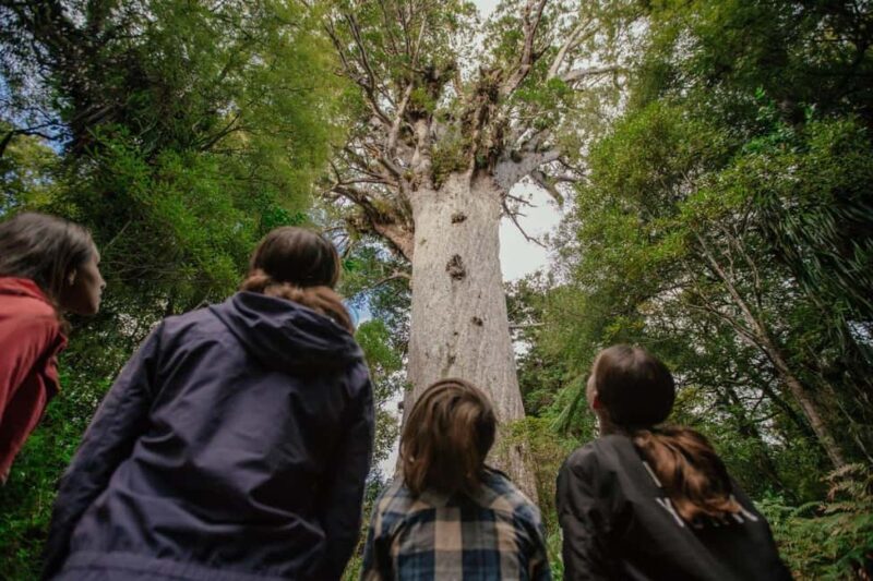Auckland: Bay of Islands Tour & Cruise 2Day Small Group Tour - Who Is This Tour Best For?