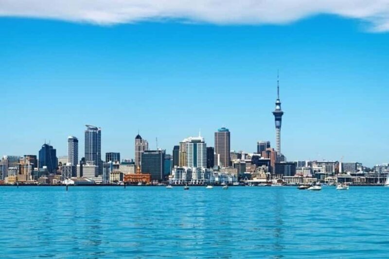 Auckland: Best Street Food Tour With A Local Guide - What to Expect on Your Tour
