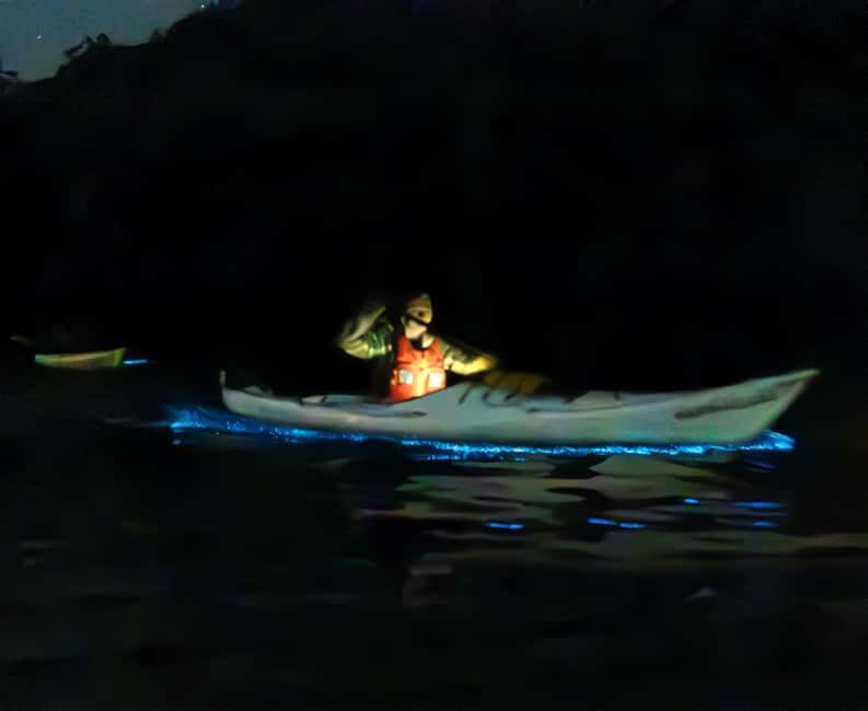 Auckland: Bioluminescence Kayak Tour - Key Points