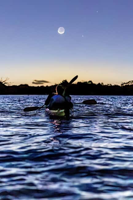 Auckland: Bioluminescence Kayak Tour - The Equipment and Safety