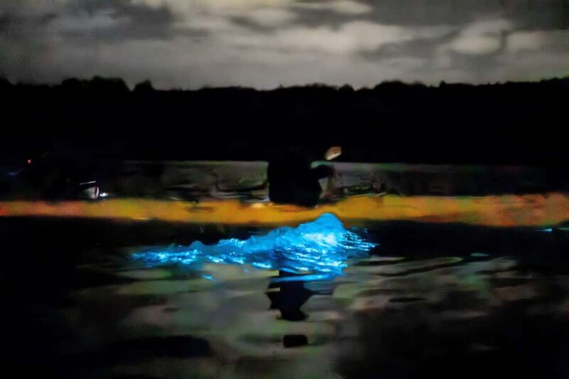 Auckland: Bioluminescence Kayak Tour - Final Thoughts