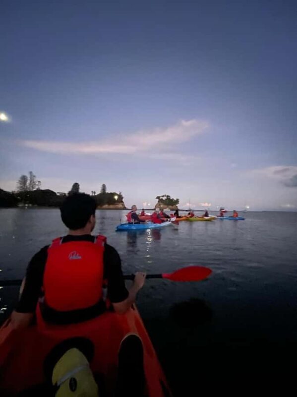 Auckland: Bioluminescence Kayak Tour with Guide - Practical Details and Comfort