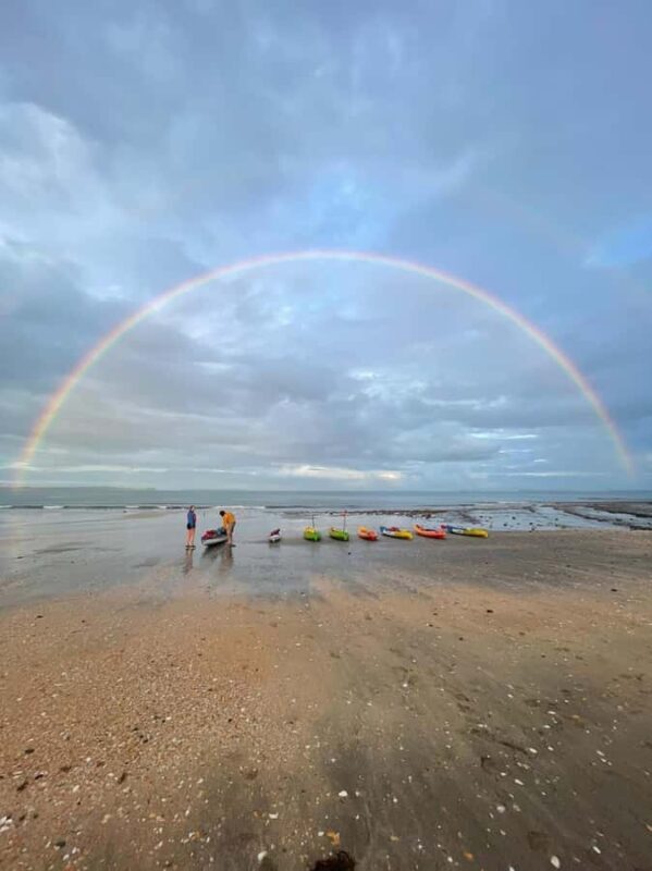 Auckland: Bioluminescence Kayak Tour with Guide - Why This Tour Offers Great Value