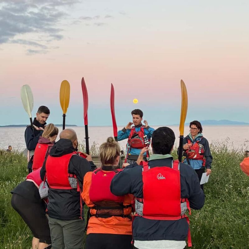 Auckland: Bioluminescence Kayak Tour with Guide - Final Thoughts
