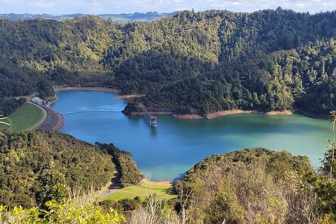 Auckland Birdwatching and Hiking Private Tour - The Real Value of This Tour