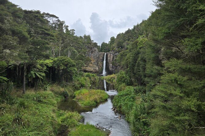 Auckland Birdwatching and Hiking Private Tour - Who Would Love This Tour?