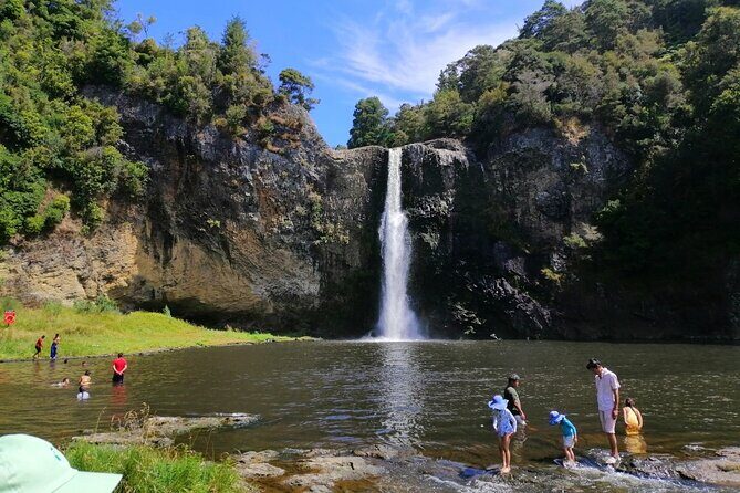 Auckland Birdwatching and Hiking Private Tour - Final Thoughts