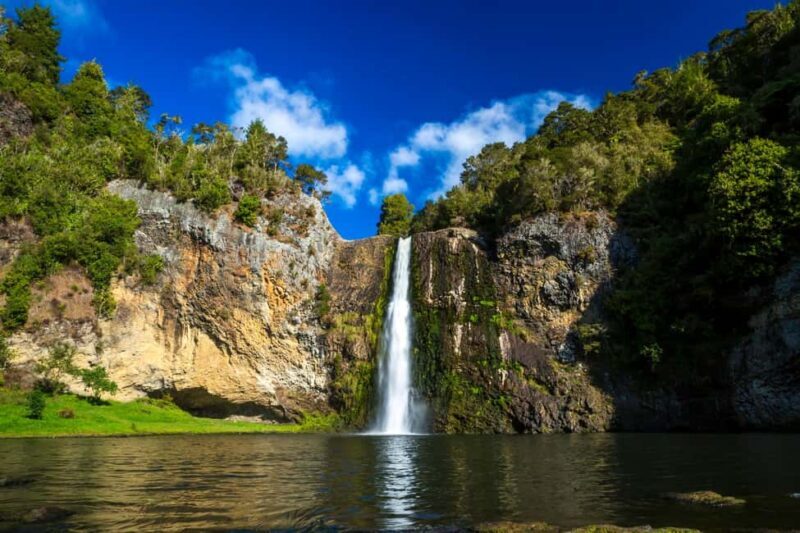 Auckland: Birdwatching, Hiking & Waterfalls Tour - Introduction