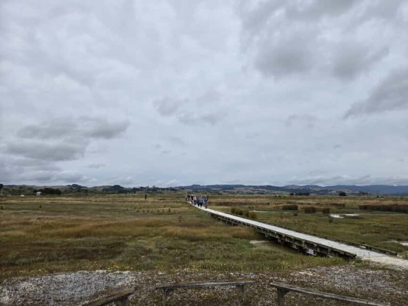 Auckland: Birdwatching, Hiking & Waterfalls Tour - Is This Tour Worth the Price?