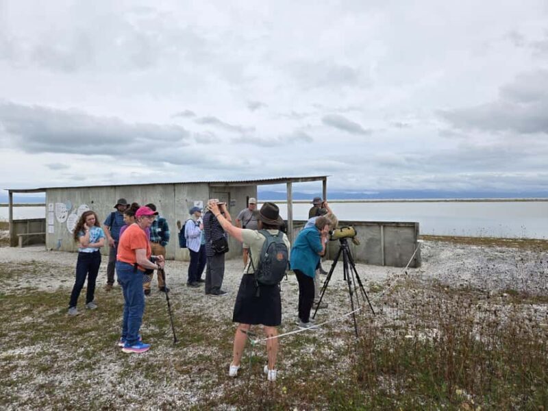 Auckland: Birdwatching, Hiking & Waterfalls Tour - Who Would Love This Tour?