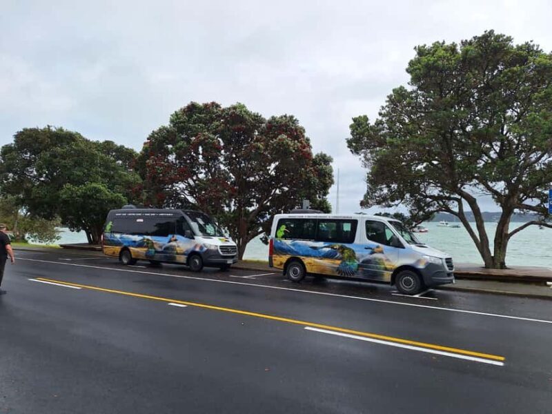 Auckland: Cathedral Cove and Coromandel Small Group Tours - What Makes This Tour Stand Out