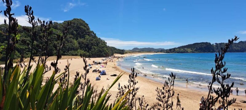 Auckland: Cathedral Cove and Coromandel Small Group Tours - FAQ