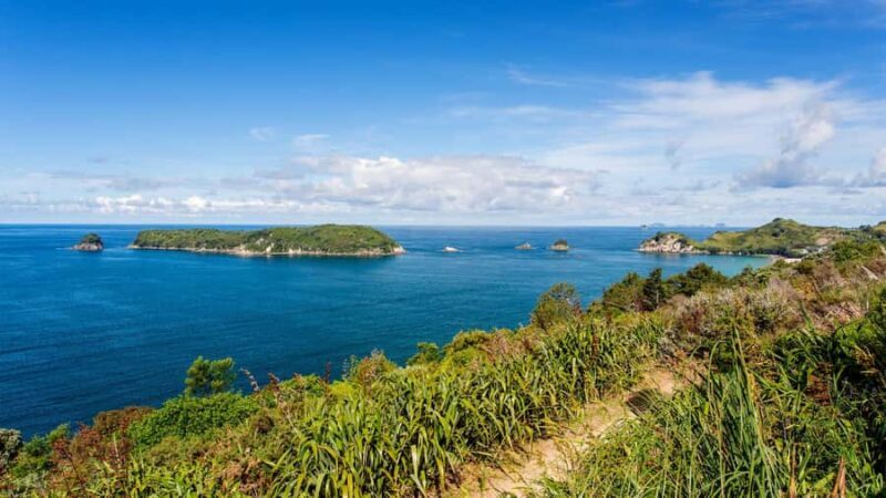 Auckland: Cathedral Cove and Hot Water Beach Day Trip - What Makes This Tour Stand Out