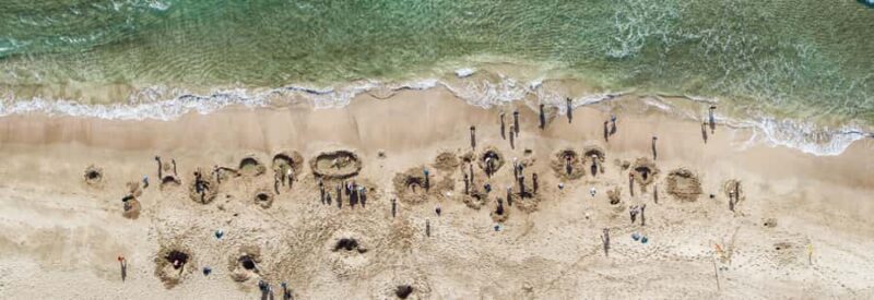 Auckland: Cathedral Cove and Hot Water Beach Day Trip - Who Should Consider This Tour?