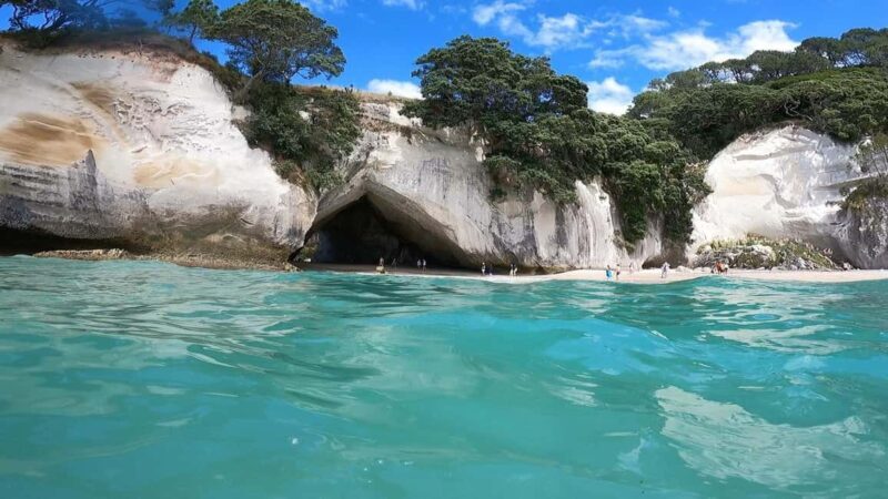 Auckland: Cathedral Cove & Coromandel Small-Group Tour - What’s Included and What to Consider