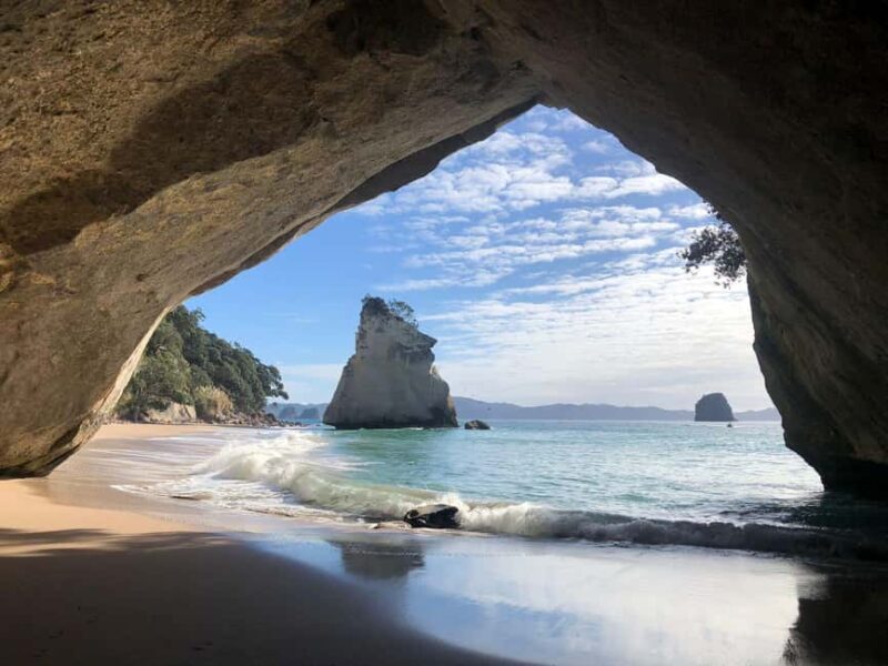 Auckland: Cathedral Cove & Coromandel Small-Group Tour - Who Will Love This Tour?