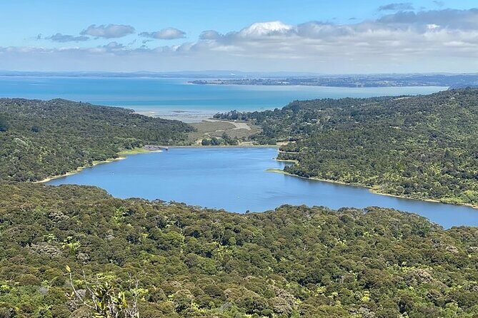 Auckland City and West Coast Black Sand Beach Full Day Tour - Authentic Feedback from Guests
