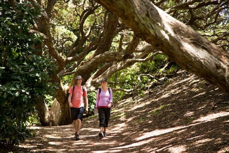 Auckland City and West Coast Luxury Tour - Practical Details and What to Expect