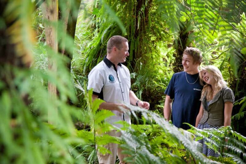 Auckland City and West Coast Luxury Tour - Authentic Experiences and Guest Insights