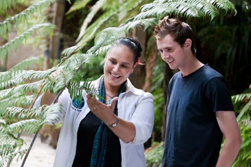 Auckland City and West Coast Luxury Tour - The Sum Up: Who Will Love This Tour?