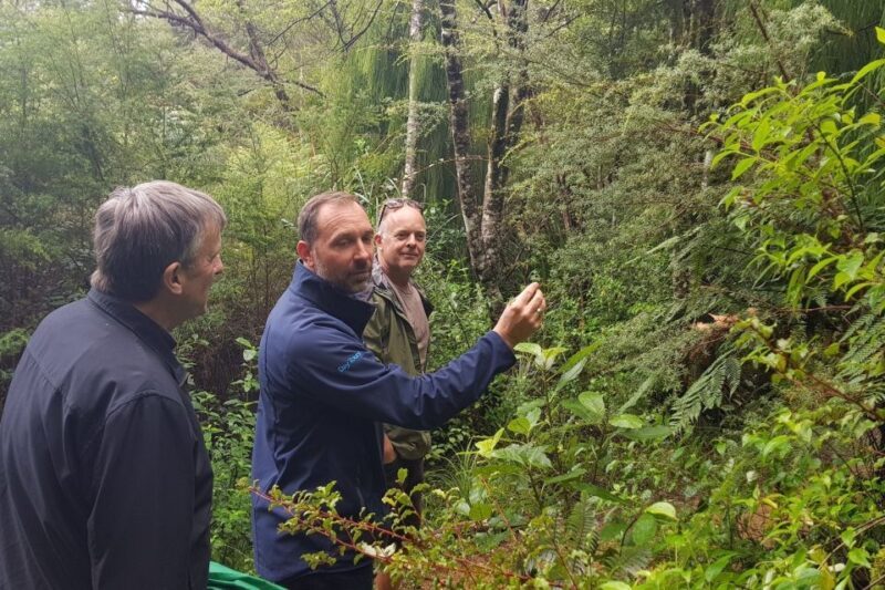 Auckland City, Beaches & Rainforest Premium Small Group Tour - Key Points