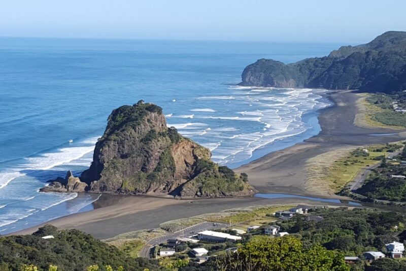 Auckland City, Beaches & Rainforest Premium Small Group Tour - An In-Depth Look at the Auckland City, Beaches & Rainforest Tour