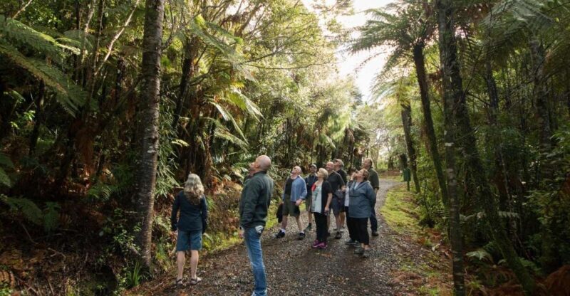 Auckland City, Beaches & Rainforest Premium Small Group Tour - Final Thoughts: Who Should Consider This Tour?