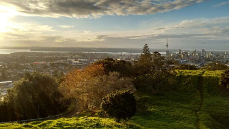 Auckland City Full Tour -PRIVATE TOUR - Final Thoughts