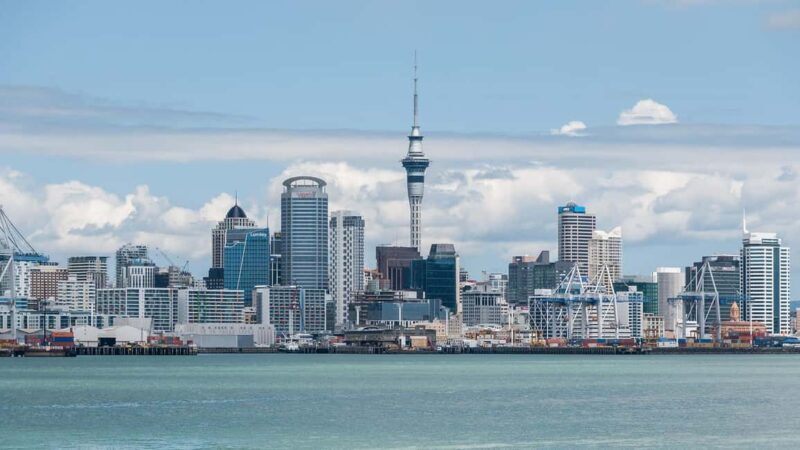 Auckland City Half Day Tour - Key Points  