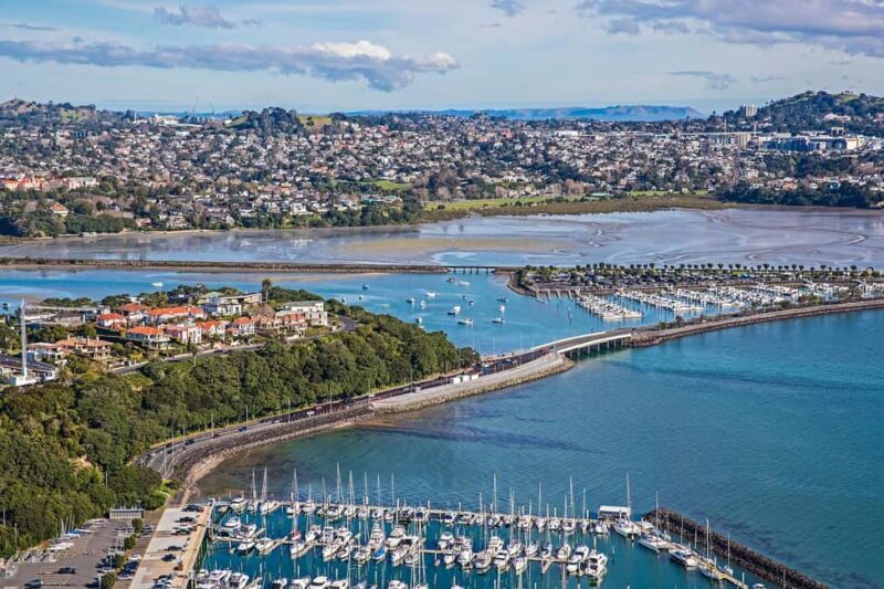 Auckland: City Highlights and Native Forest Experience - Marveling at Piha Beach and Lion Rock