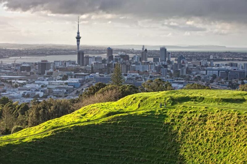 Auckland: City Highlights and Native Forest Experience - The West Coast Wilderness and Its Stories