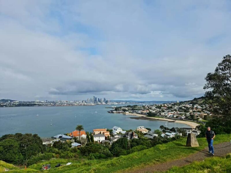 Auckland City Highlights Half Day Tour - The Transport — Comfort and Convenience