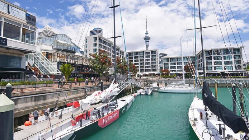 Auckland City Highlights Small-Group Tour (Half-Day) - A Detailed Look at the Auckland Highlights Small-Group Tour