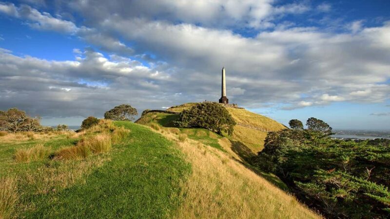 Auckland City Highlights Small-Group Tour (Half-Day) - Authentic Insights from Reviews