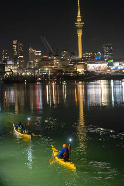 Auckland: City Lights Night Kayak Tour - The Experience in Detail