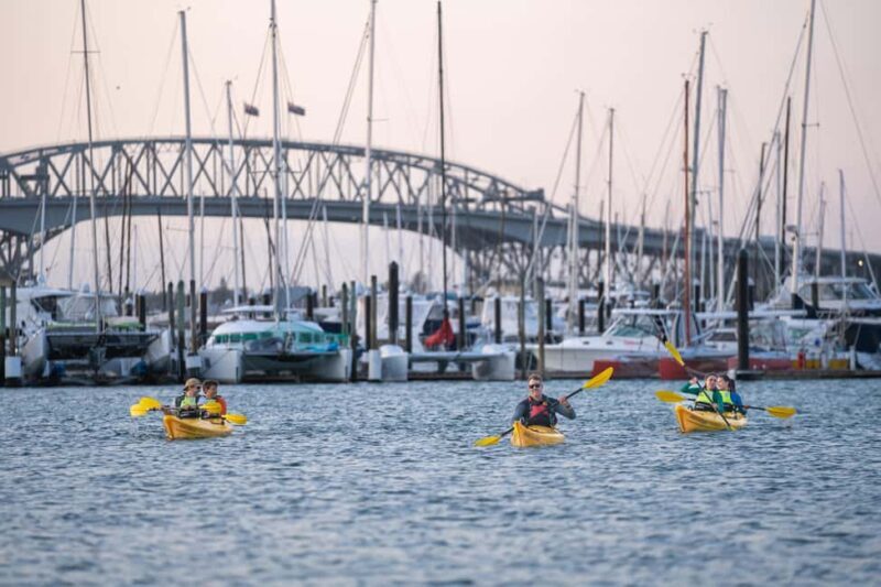 Auckland: City Lights Night Kayak Tour - Final Thoughts