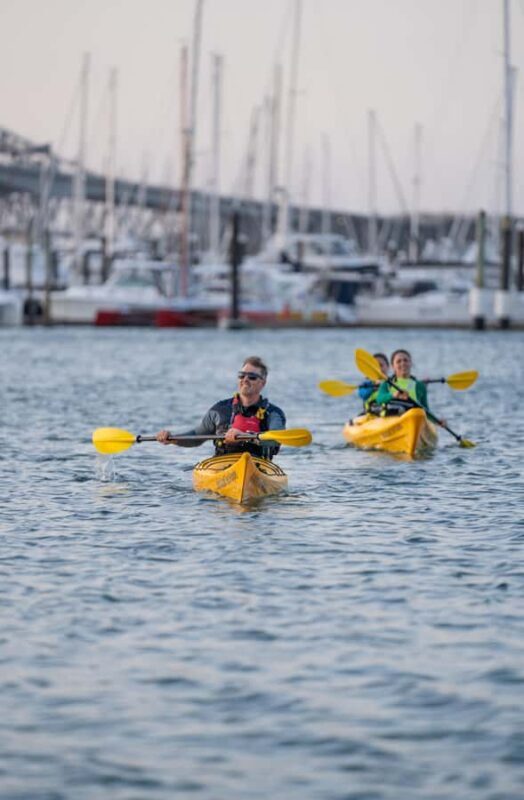 Auckland: City Scenes Kayak Tour - The Route and Key Highlights