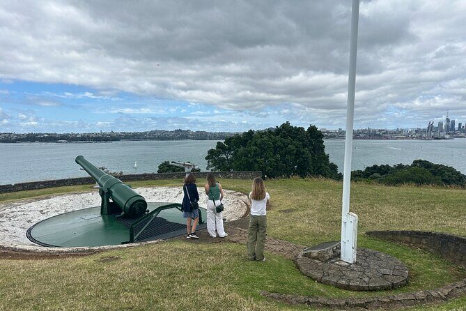 Auckland City Top Sights Half Day Tour - Small Group - The Sum Up