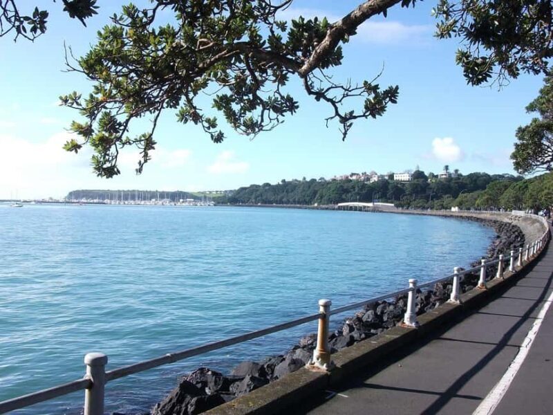 Auckland: City Tour with Wine Tasting and Black Sand Beach - Who Should Book This Tour?