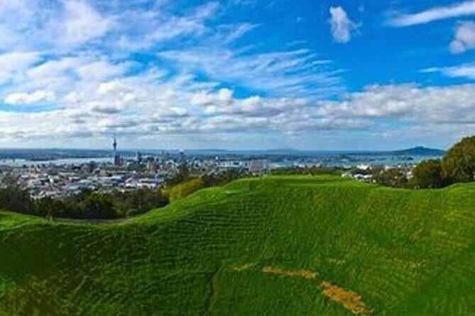Auckland City Volcano & Scenic Highlights Tour - Final Thoughts